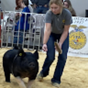 Meet your Posher, Gracie